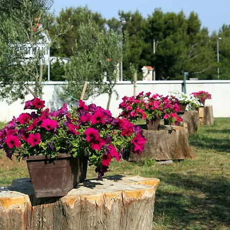 With Parking Space Seline, Paklenica - 6603 Daire *