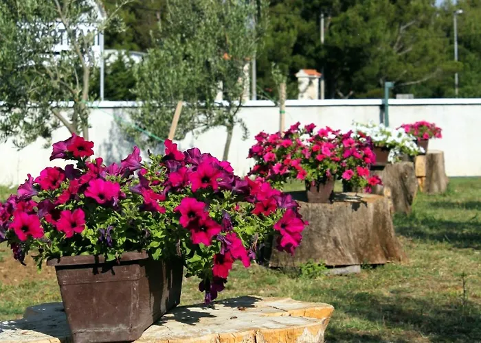 With Parking Space Seline, Paklenica - 6603 Апартаменты *